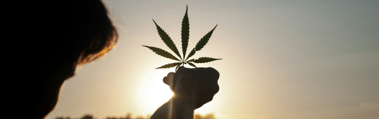 Order Marijuana Delivery Today in the Europe